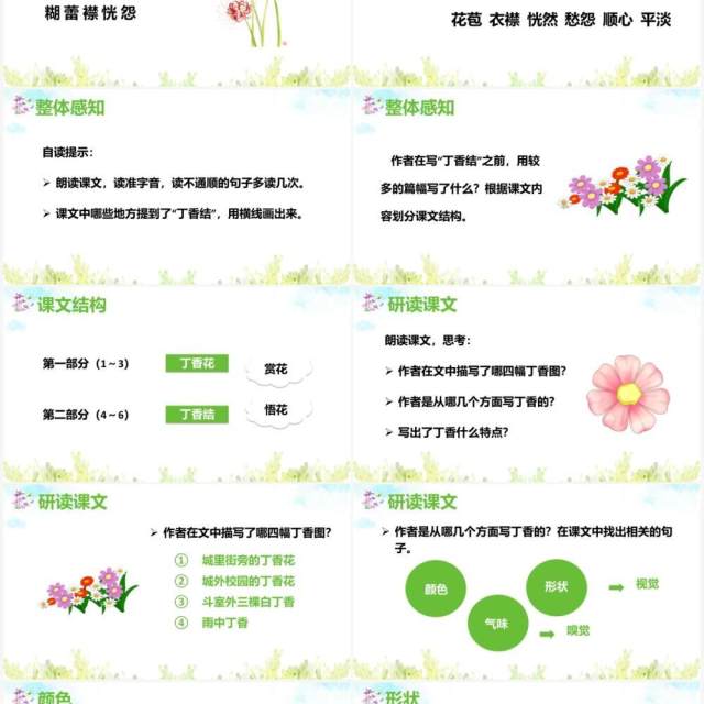 部编版六年级语文上册丁香结课件PPT模板 部编版六年级语文上册丁香结课件PPT模板