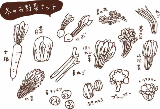 冬季蔬菜集的绘图