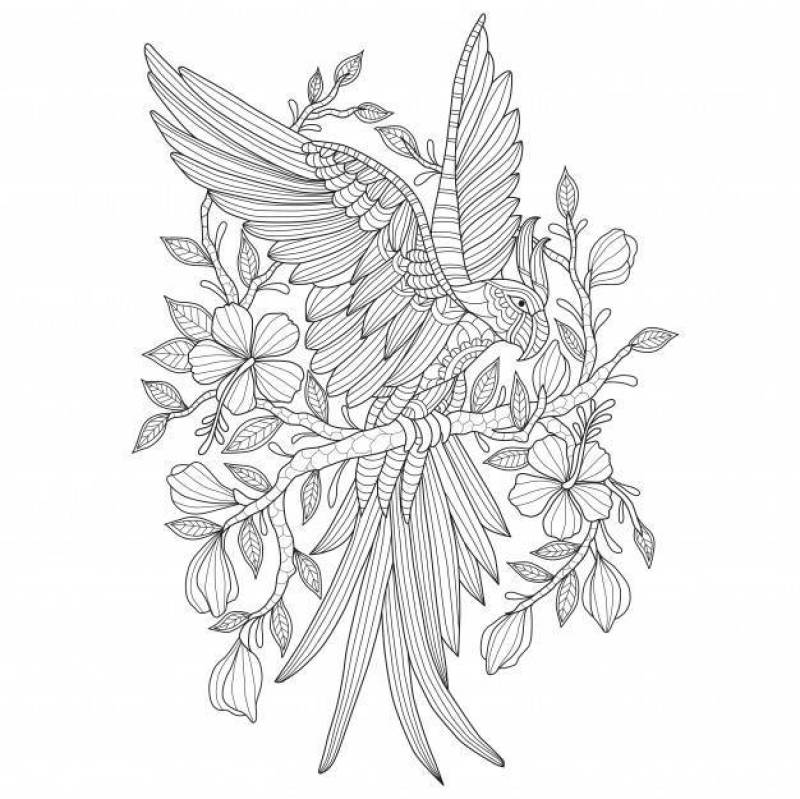 Hand drawn illustration of parrot in zentangle style