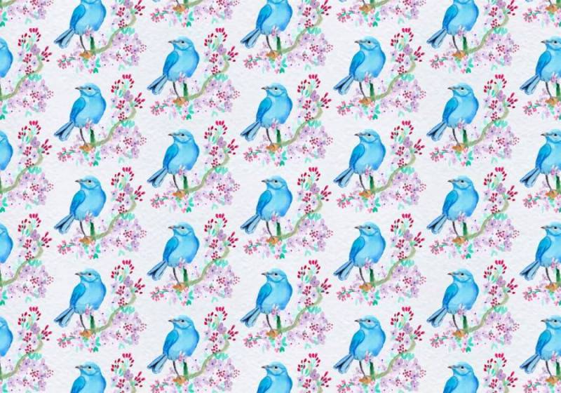  矢量模式与彩绘鸟在花枝上