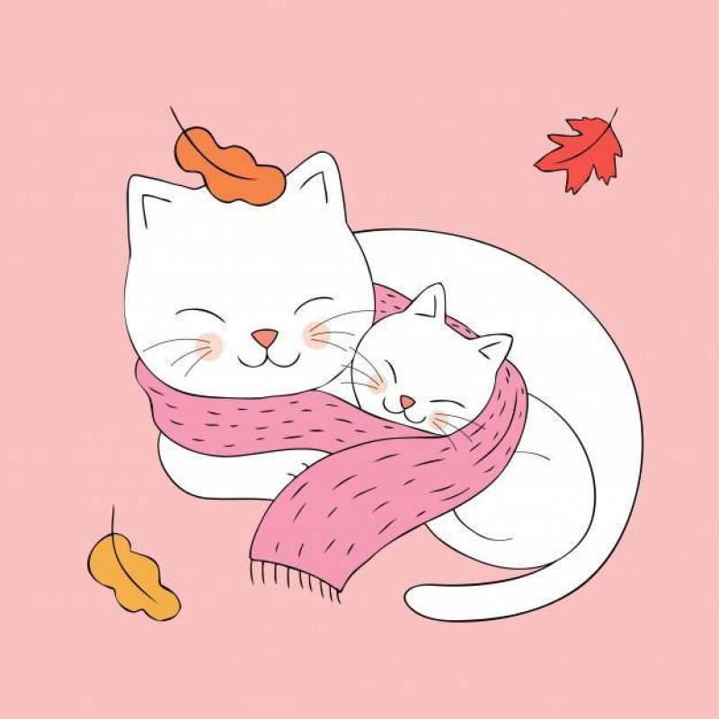 动画片逗人喜爱的秋天妈妈和小猫睡觉
