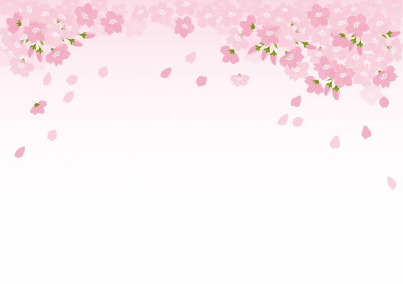 樱花背景