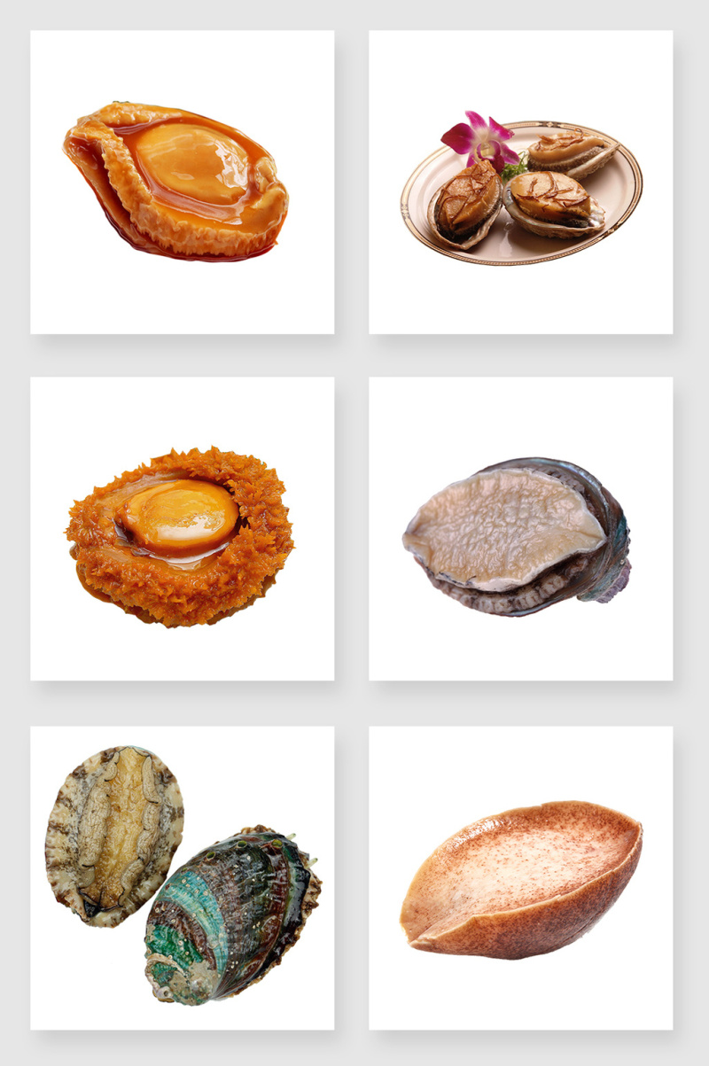 美味的鲍鱼png设计素材