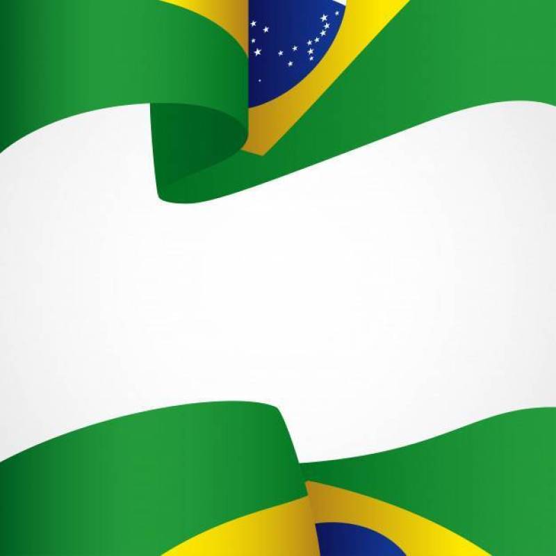 巴西徽章的装饰