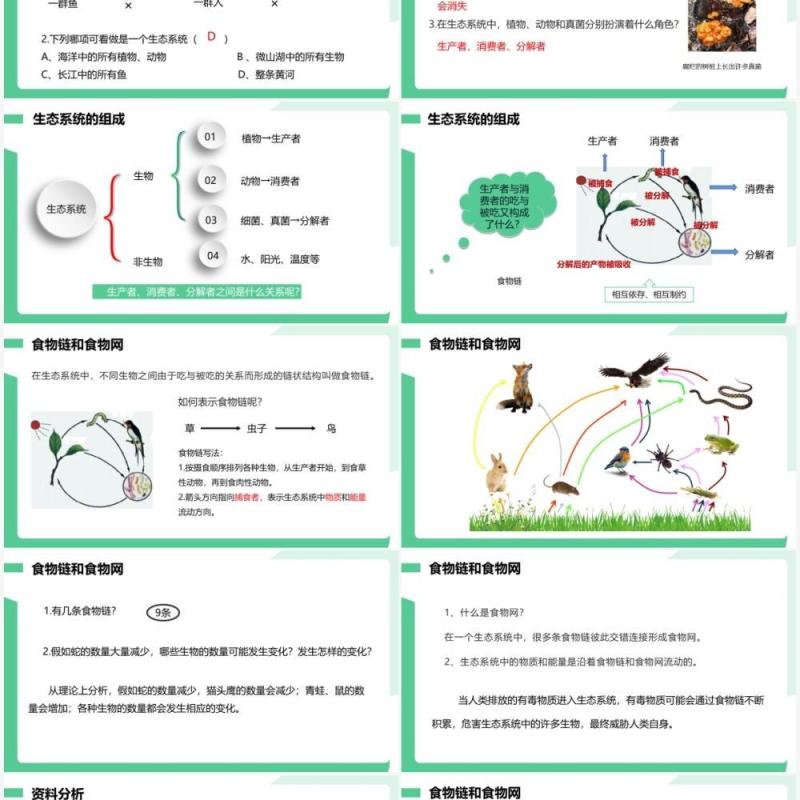 部编版七年级生物上册生物与环境组成生态系统课件PPT模板