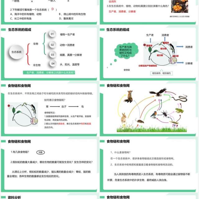 部编版七年级生物上册生物与环境组成生态系统课件PPT模板