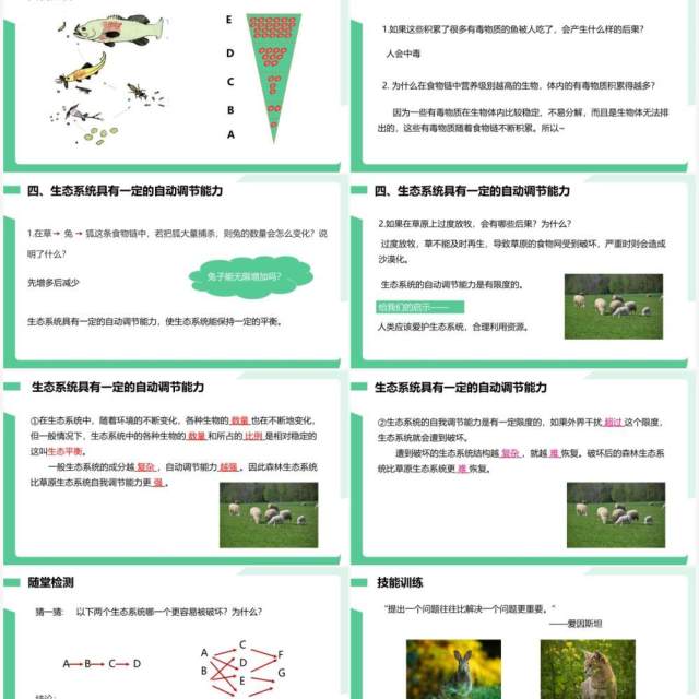 部编版七年级生物上册生物与环境组成生态系统课件PPT模板 部编版七年级生物上册生物与环境组成生态系统课件PPT模板