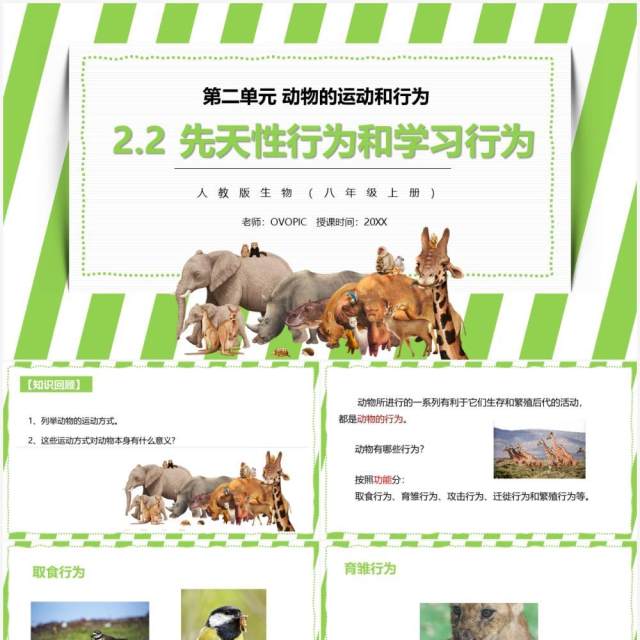 部编版八年级生物上册先天性行为和学习行为PPT模板