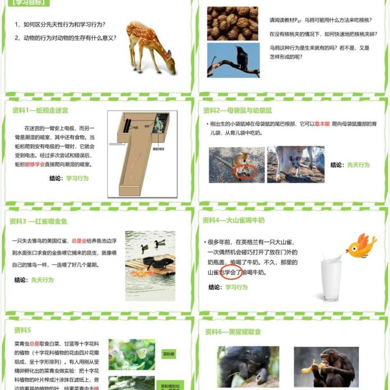 部编版八年级生物上册先天性行为和学习行为PPT模板