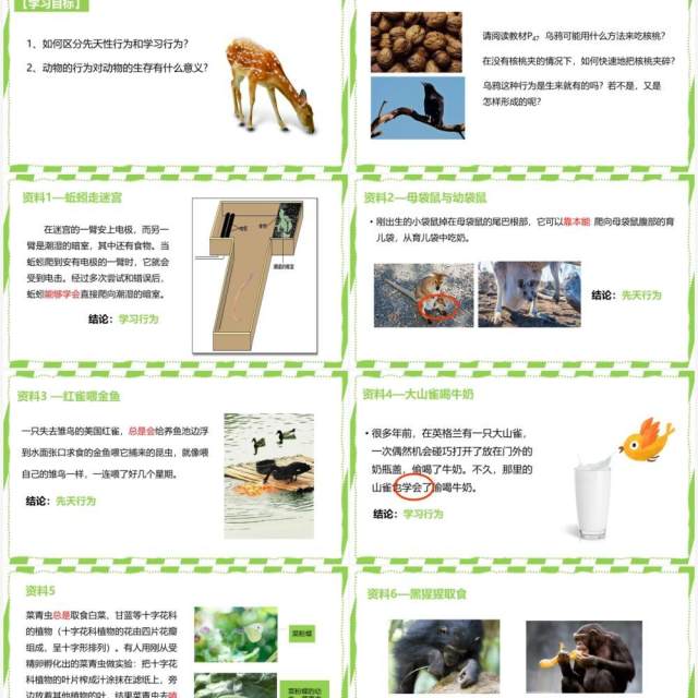 部编版八年级生物上册先天性行为和学习行为PPT模板 部编版八年级生物上册先天性行为和学习行为PPT模板