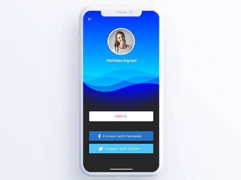 Origin 登录表单界面