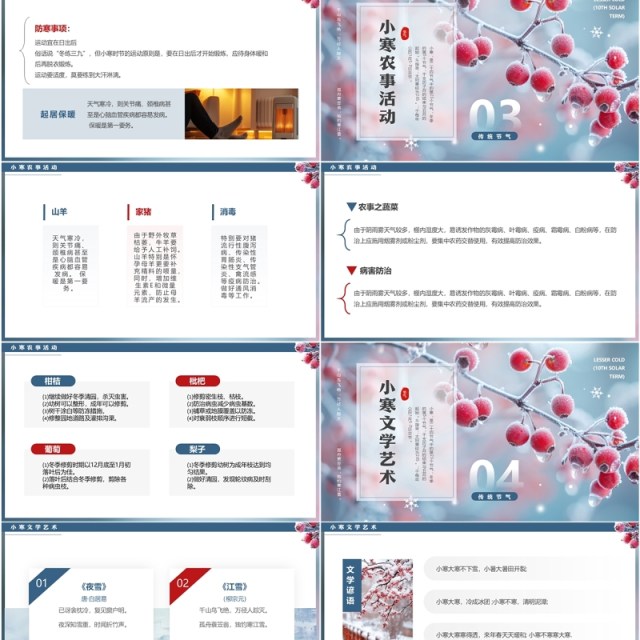 蓝色清新风二十四节气之小寒介绍PPT模板