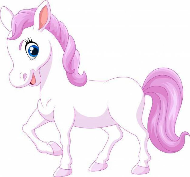 Cartoon funny beautiful pony isolated on white background