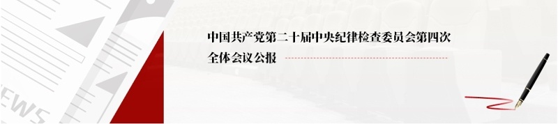 红色简约风二十届中央纪委四次全会PPT模板