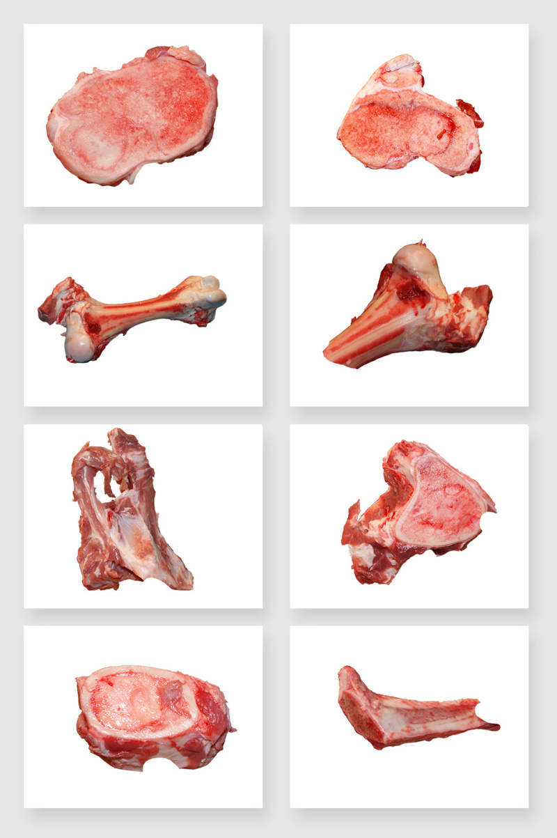 高清免抠骨头素材