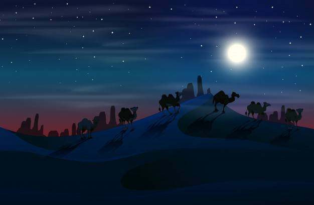 骆驼在沙漠中在晚上