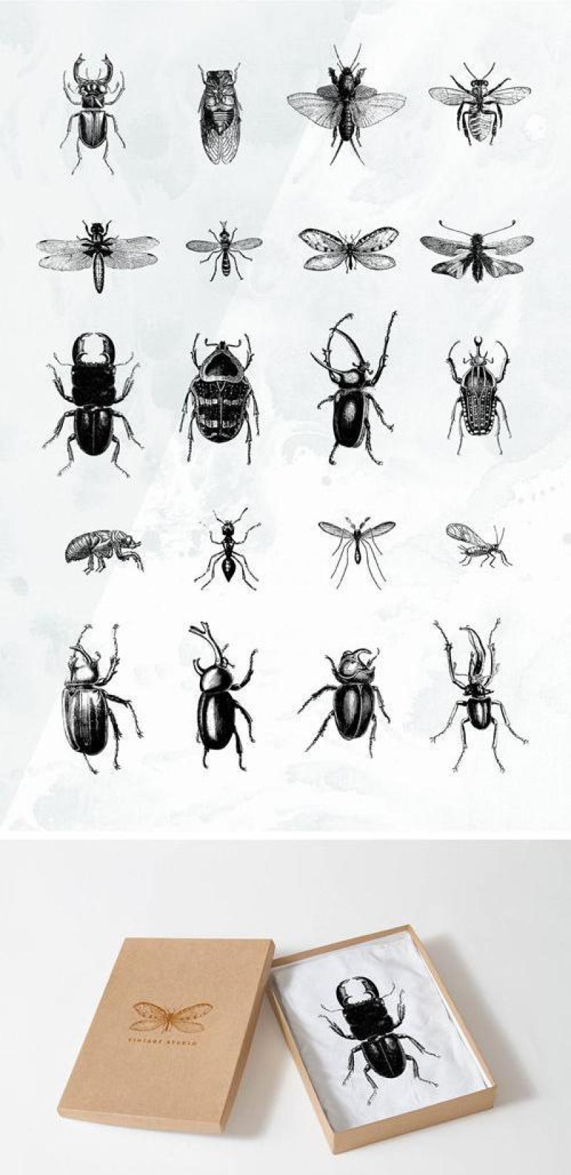 20款昆虫剪影矢量素材下载