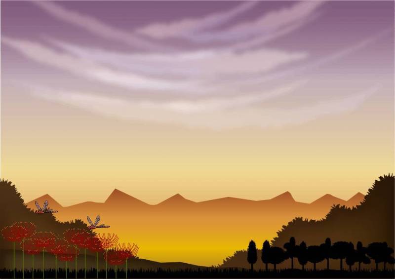 秋天和amarillous花的风景