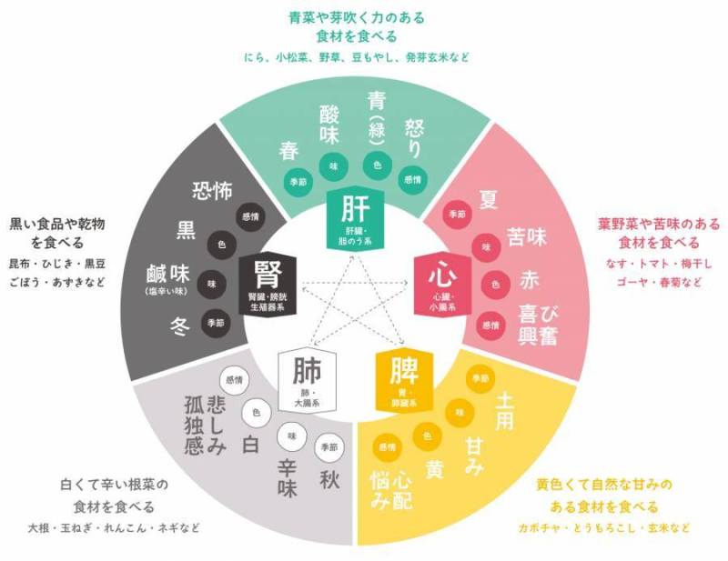 阴阳五行・五元素・五色・五臓の図