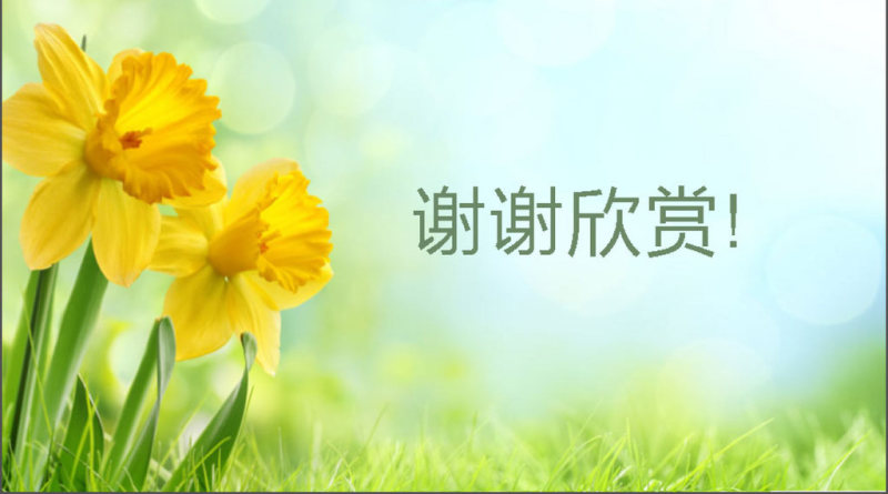 2017年小清新教育培训动态PPT模板