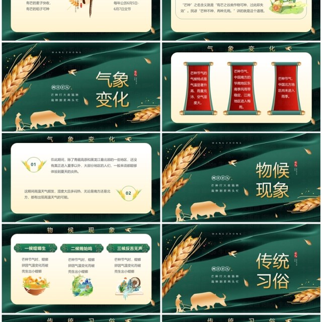 绿色中国风传统二十四节气之芒种PPT模板 绿色中国风传统二十四节气之芒种PPT模板