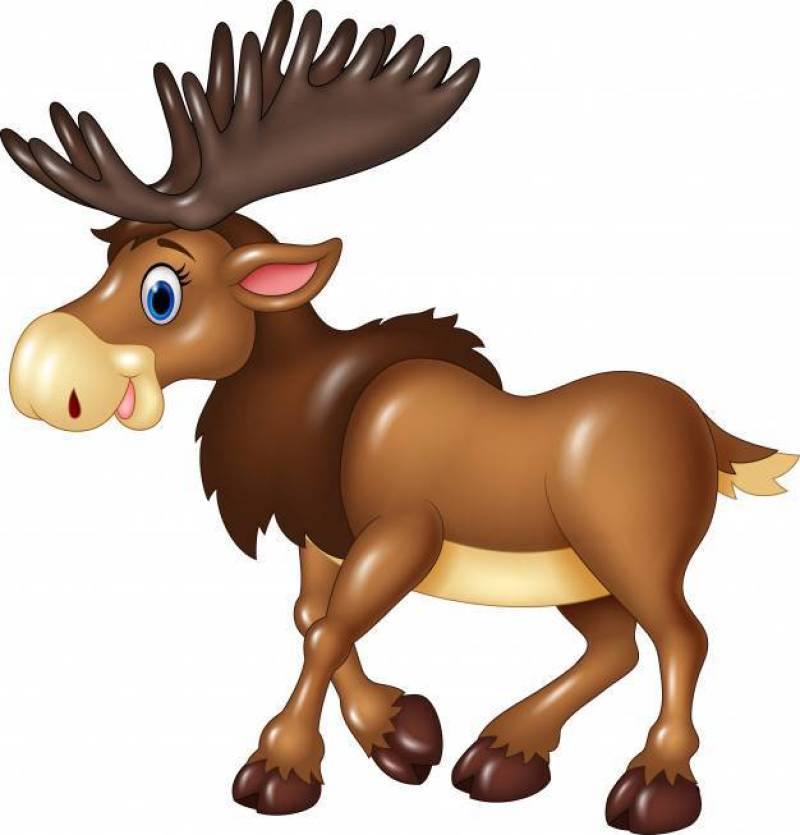 Cartoon moose expression