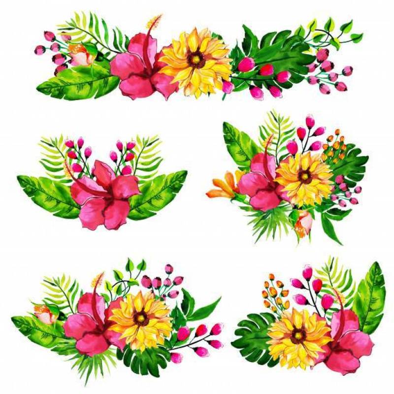 Watercolor Floral bouquets Collection