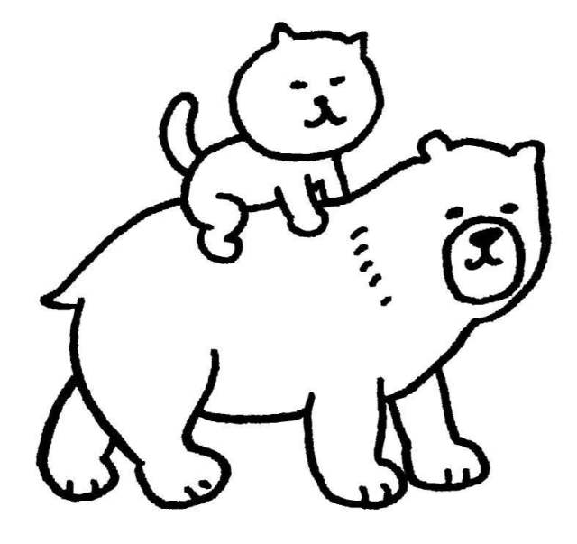 猫住在燕尾