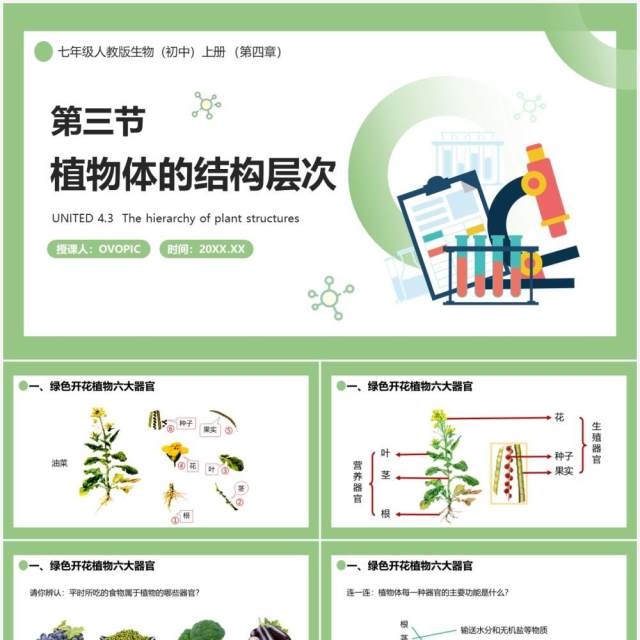 部编版七年级生物上册植物体的结构层次课件PPT模板