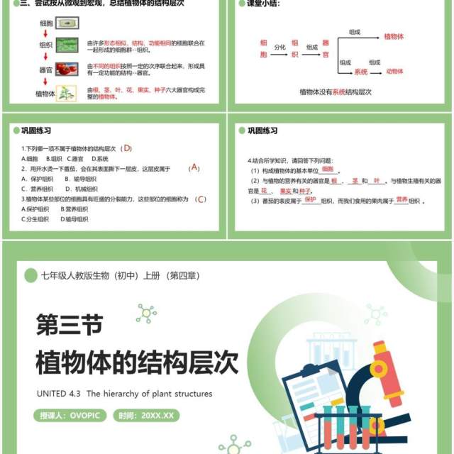 部编版七年级生物上册植物体的结构层次课件PPT模板