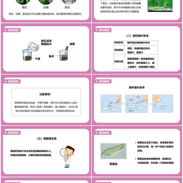 教科版六年级科学下册用显微镜观察身边的生命世界课件PPT模板