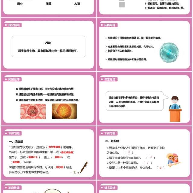 教科版六年级科学下册用显微镜观察身边的生命世界课件PPT模板