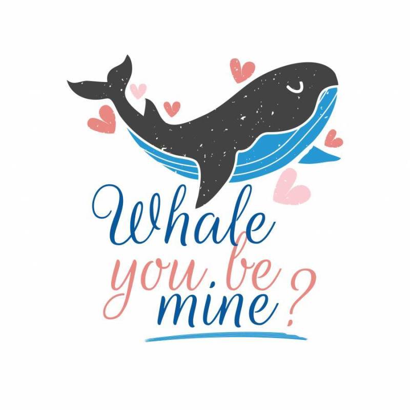 鲸鱼你是我的？