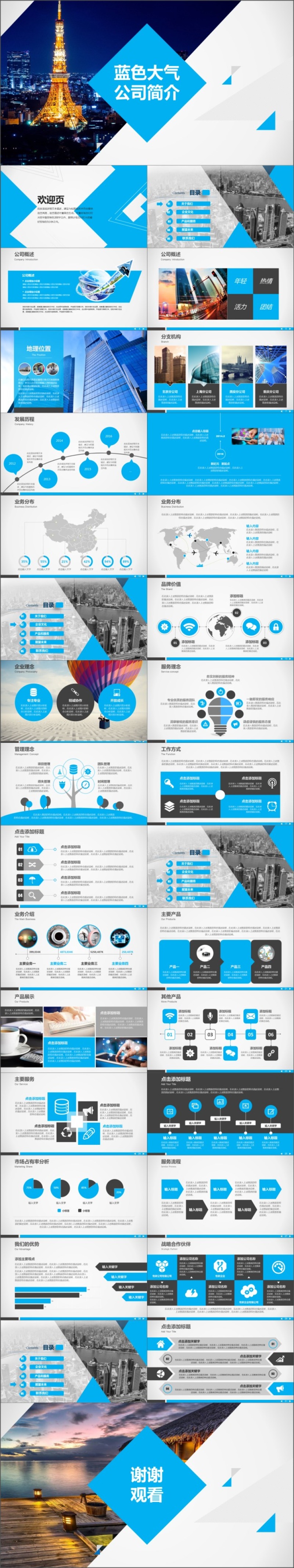 蓝色大气公司简介