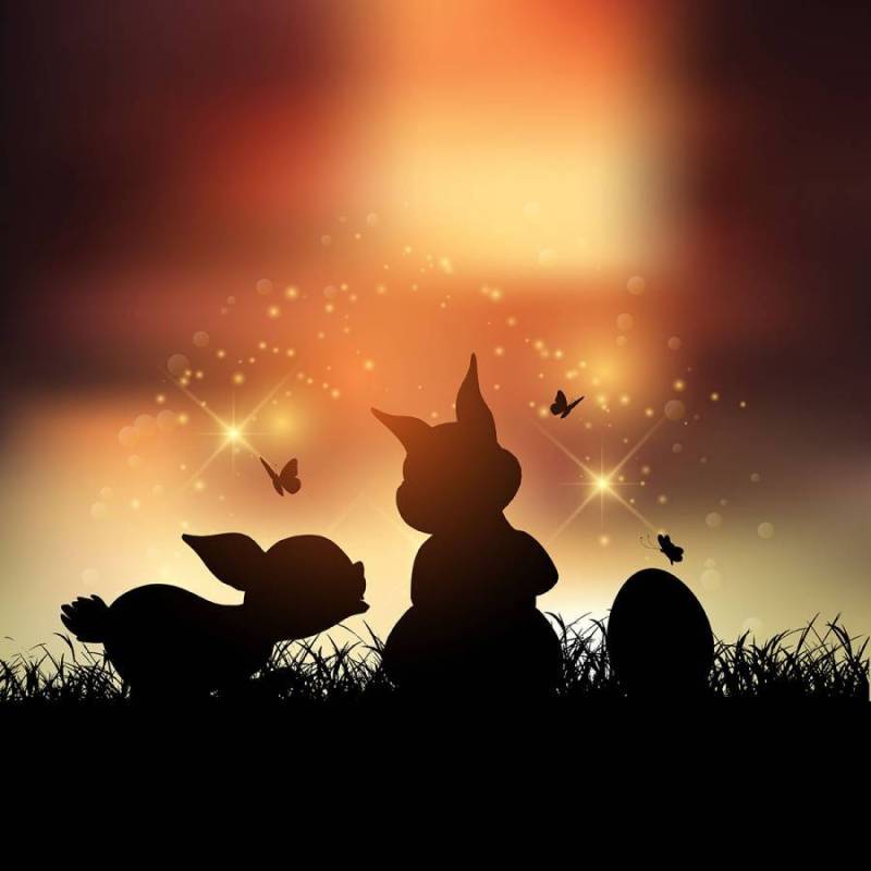 在日落时的复活节兔子