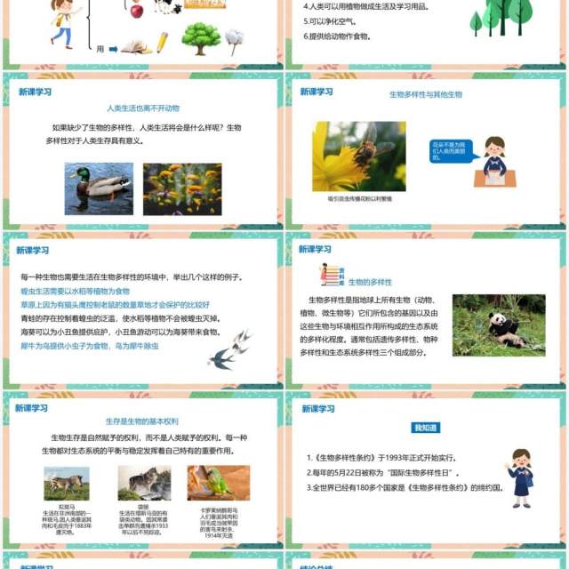 教科版六年级科学上册生物多样性的意义PPT模板 教科版六年级科学上册生物多样性的意义PPT模板