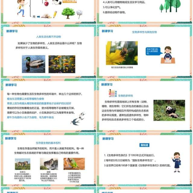 教科版六年级科学上册生物多样性的意义PPT模板