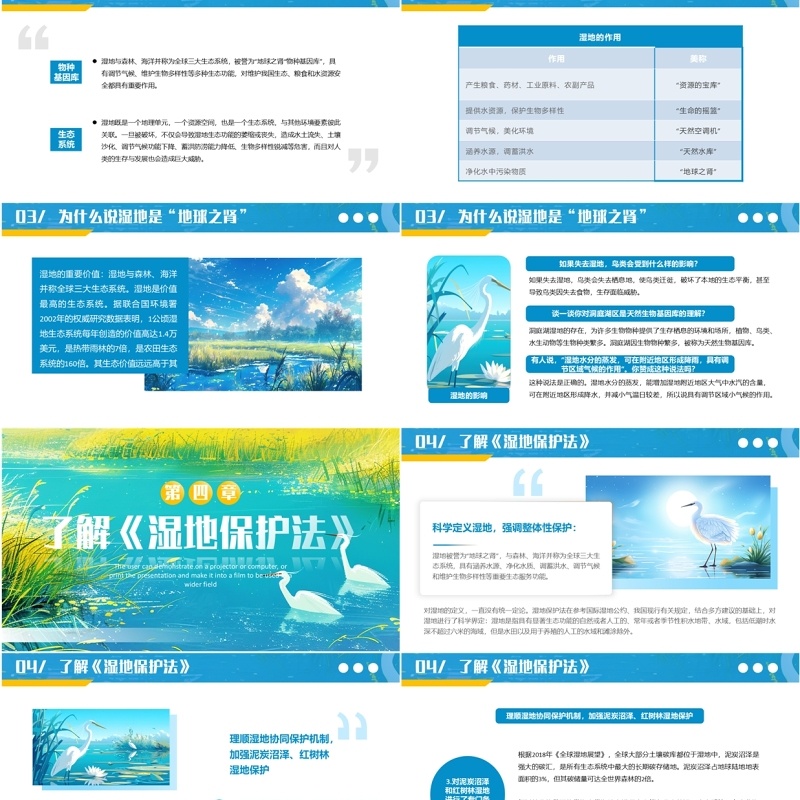 蓝色插画风世界湿地日介绍PPT模板