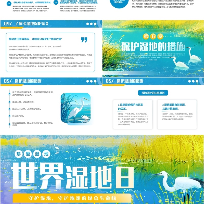 蓝色插画风世界湿地日介绍PPT模板