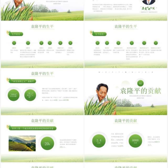 绿色简约风袁隆平院士生平介绍PPT模板 绿色简约风袁隆平院士生平介绍PPT模板
