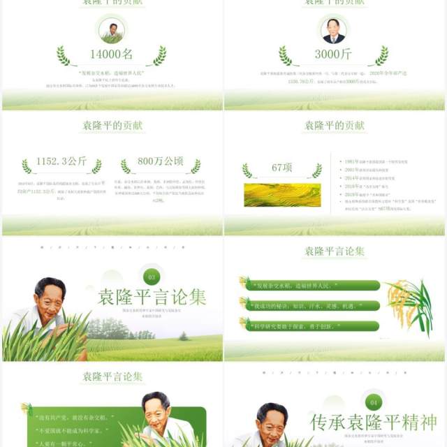 绿色简约风袁隆平院士生平介绍PPT模板 绿色简约风袁隆平院士生平介绍PPT模板