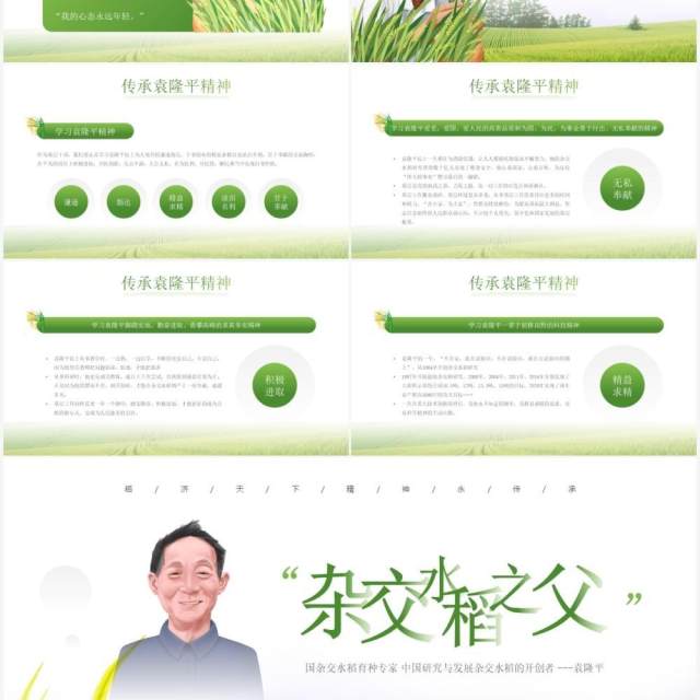 绿色简约风袁隆平院士生平介绍PPT模板 绿色简约风袁隆平院士生平介绍PPT模板