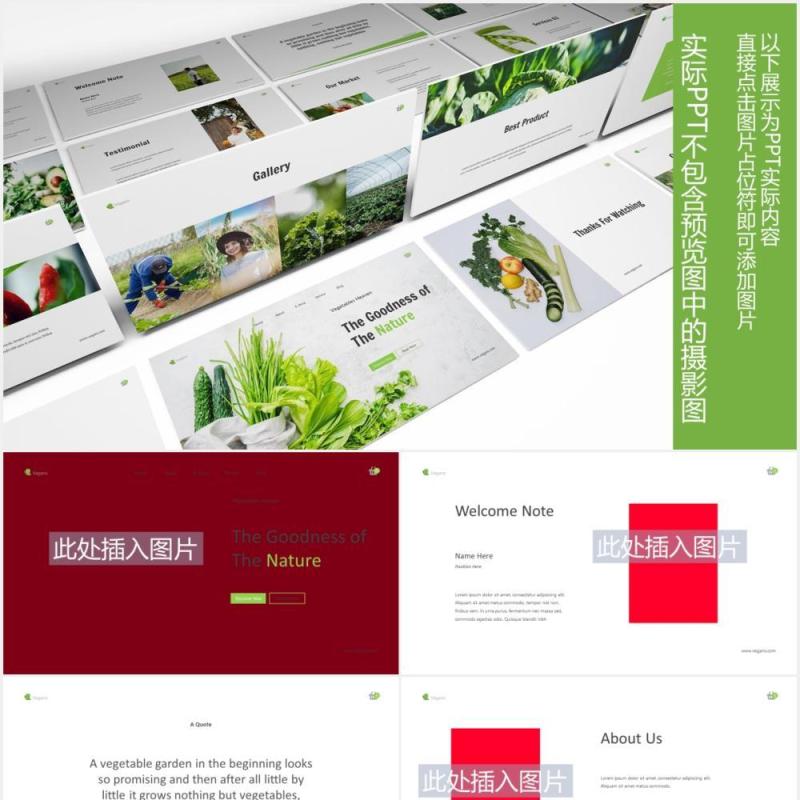 绿色蔬菜图片版式设计PPT模板Vegetables Powerpoint Template
