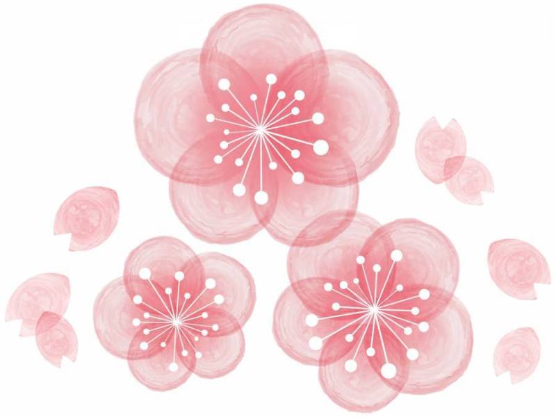 春天的樱花樱花花水彩图标简单