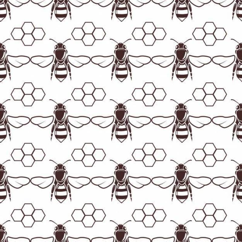 蜜蜂和蜂蜜矢量无缝背景