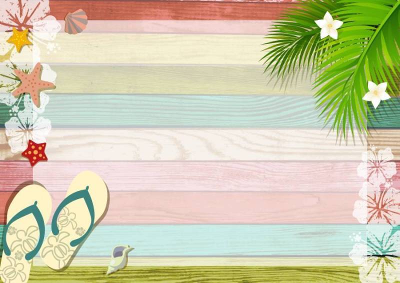 可能在夏天使用的背景资料19