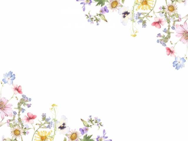 花框架147 - 在花园里的小花的花框架