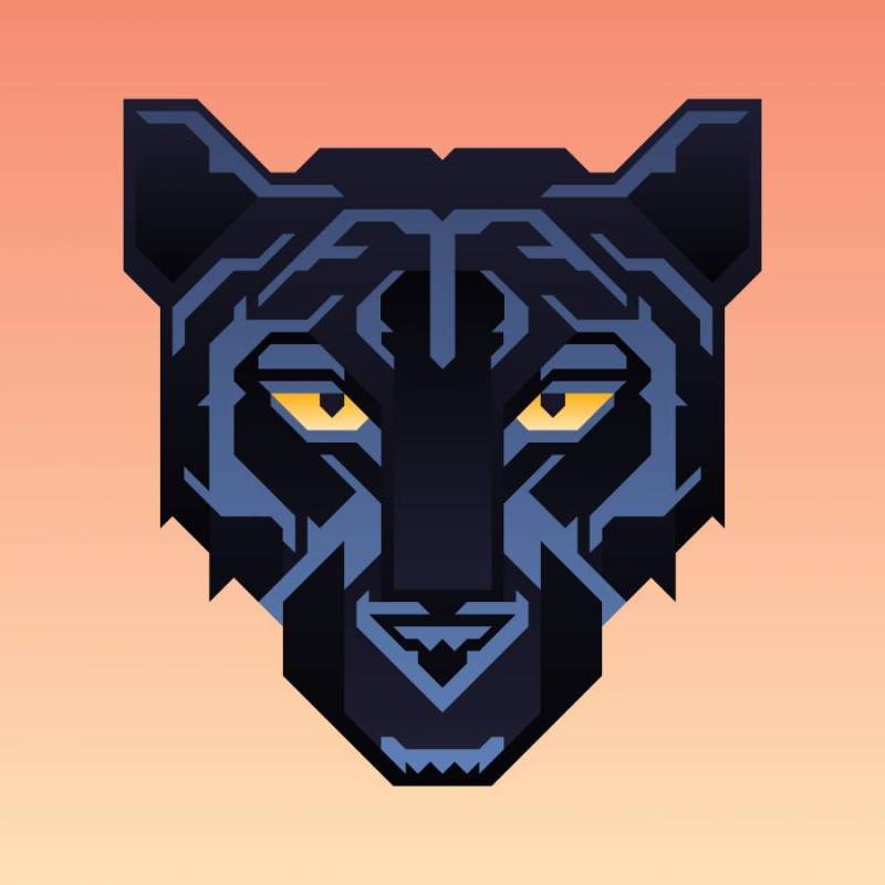 黑豹吉祥物动物字符