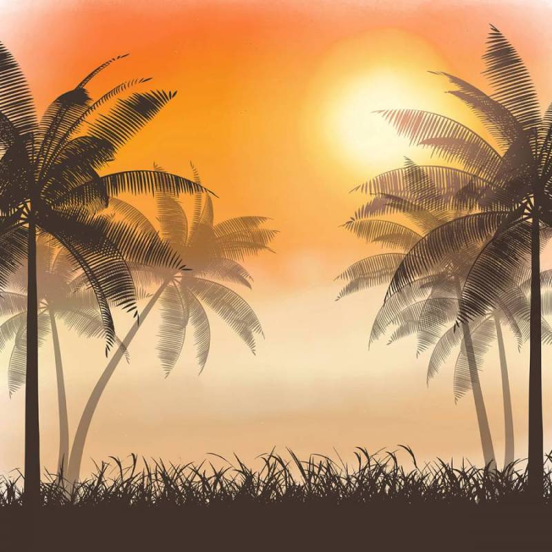 棕榈树上水彩日落的剪影