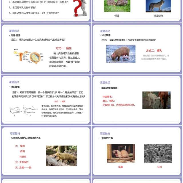 部编版八年级生物上册哺乳动物PPT模板